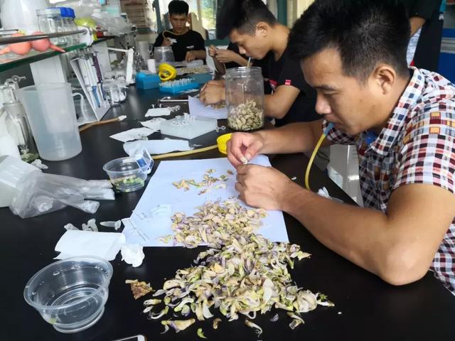 中國飯碗（值得一讀！）