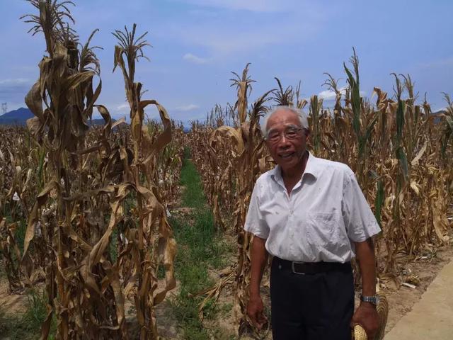 中國飯碗（值得一讀?。? inline=