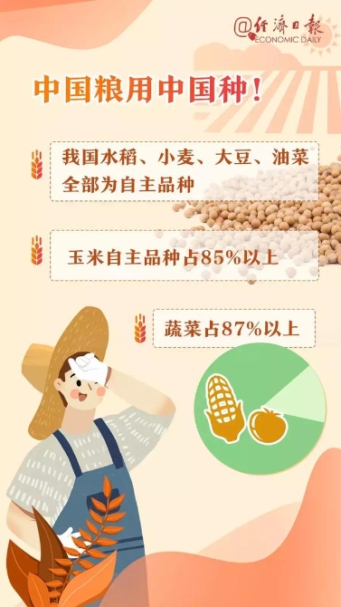 中國飯碗（值得一讀！）