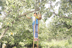 21711561399654070 21711561399654070