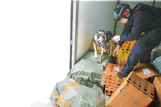 00300720834_13fbaeec 00300720834_13fbaeec