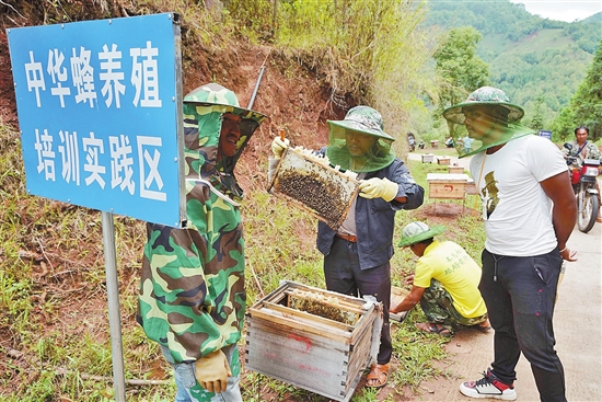 2019062604_res15_attpic_brief 2019062604_res15_attpic_brief