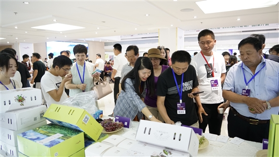 2019062703_res03_attpic_brief 2019062703_res03_attpic_brief