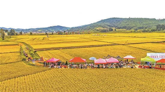 2019062706_res07_attpic_brief