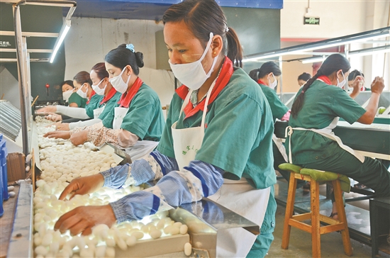 2019062707_res07_attpic_brief 2019062707_res07_attpic_brief