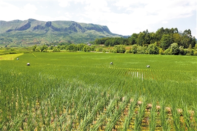 00300722094_49a68536