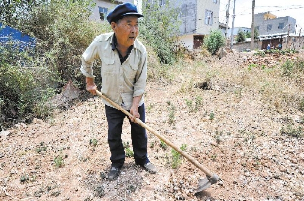 QQ截圖20190628081920 QQ截圖20190628081920