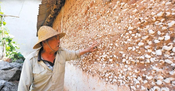 QQ截圖20190628081929 QQ截圖20190628081929