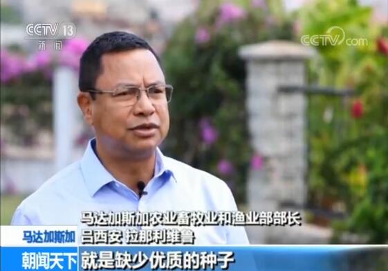 點(diǎn)擊觀看視頻 點(diǎn)擊觀看視頻