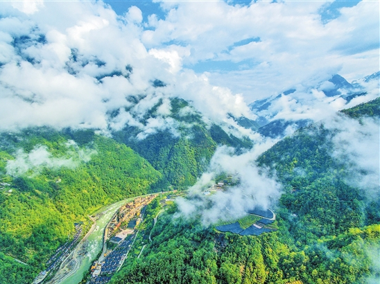 微信截圖_20190701075330 微信截圖_20190701075330