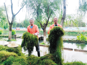 14701561915753487 14701561915753487