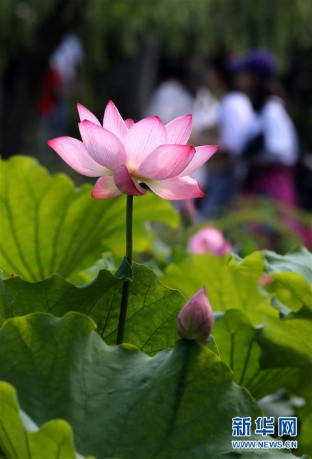 1124686057_15617243737901n 1124686057_15617243737901n