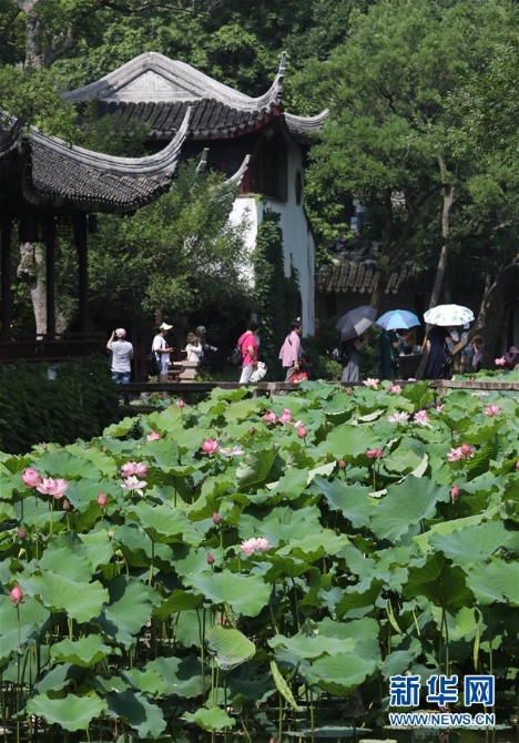 1124686057_15617243738391n 1124686057_15617243738391n