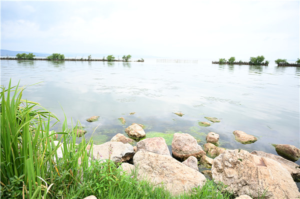 南滇池國(guó)家濕地公園