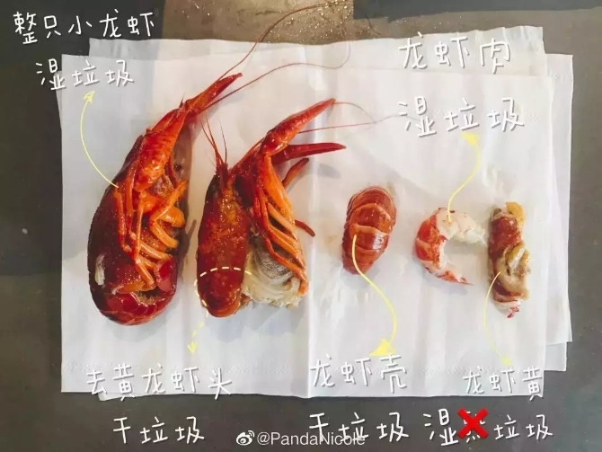 1.webp (2) 1.webp (2)