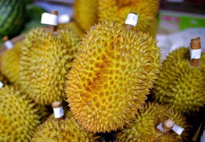 1.webp (4) 1.webp (4)