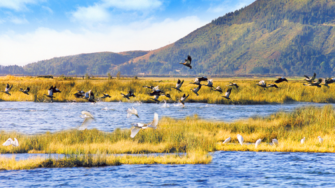 北海濕地 宣傳部提供 (2) 北海濕地 宣傳部提供 (2)