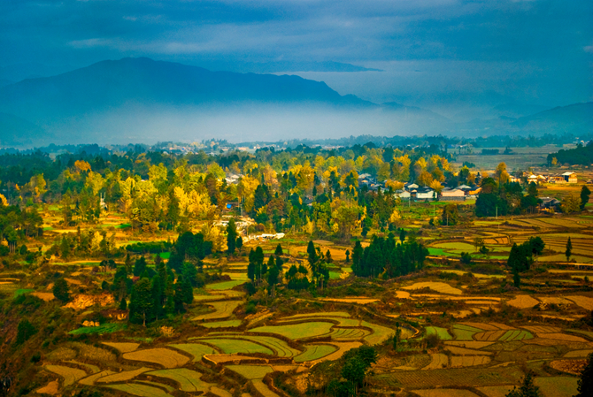 江東銀杏村-市委宣傳部提供 (2) 江東銀杏村-市委宣傳部提供 (2)