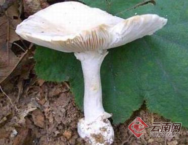 00300734546_1b12b941 00300734546_1b12b941