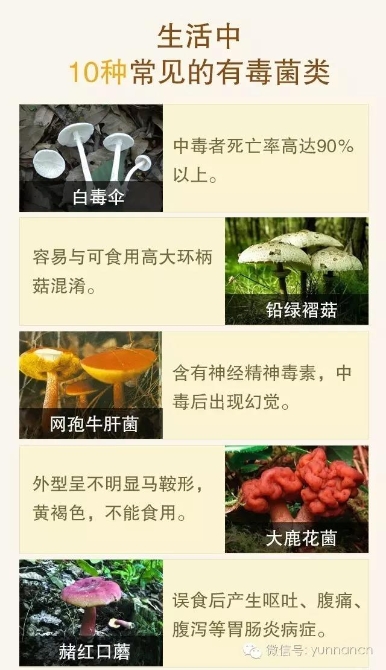 00300734547_065aecfd 00300734547_065aecfd