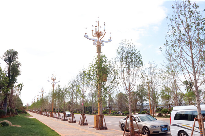 IMG_5344_wps圖片 IMG_5344_wps圖片