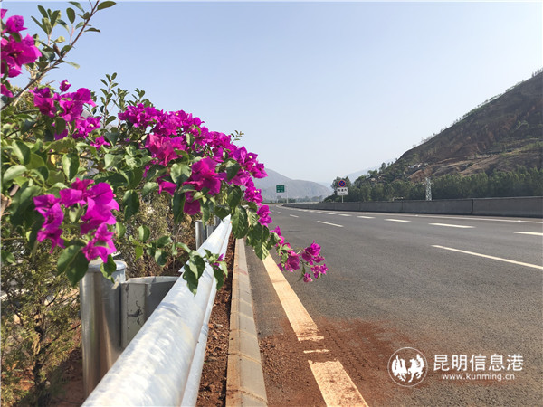 7月7日11：00，東格高速全線正式運營