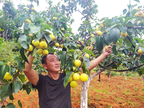 IMG_20190702_123120_1 IMG_20190702_123120_1