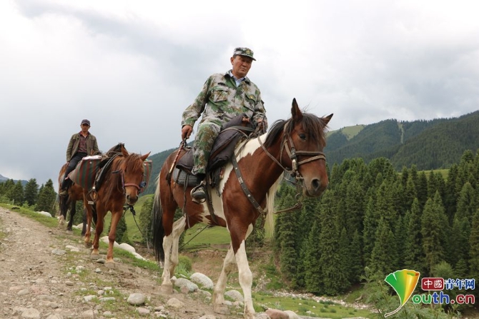 W020190703659313482892 W020190703659313482892