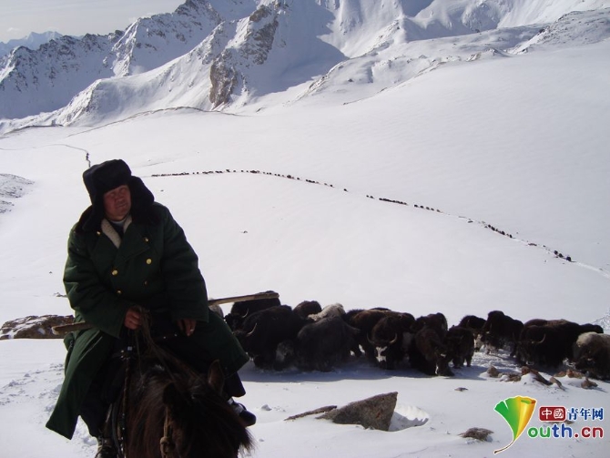 W020190703659313517391 W020190703659313517391