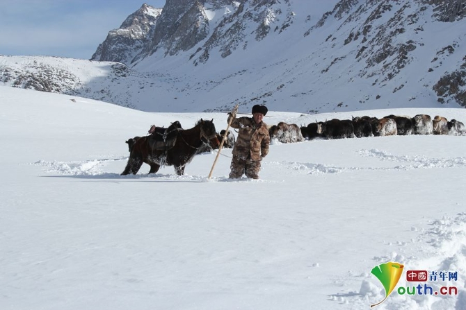 W020190703659313569713 W020190703659313569713