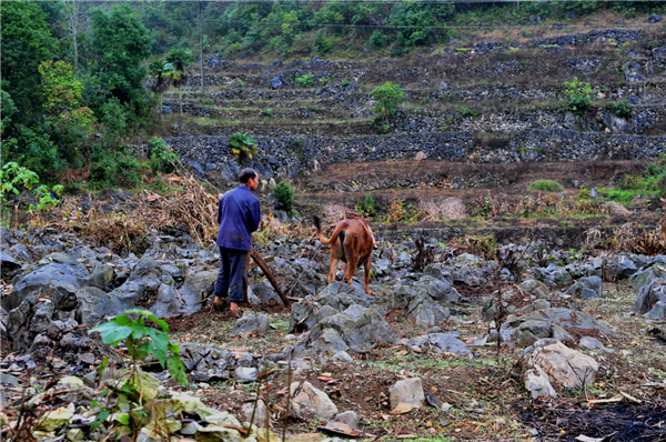 被石漠化包圍的村莊(呂德仁攝) 被石漠化包圍的村莊(呂德仁攝)