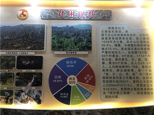 QQ圖片20190705001155 QQ圖片20190705001155