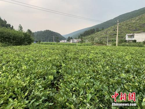 點(diǎn)擊進(jìn)入下一頁(yè)