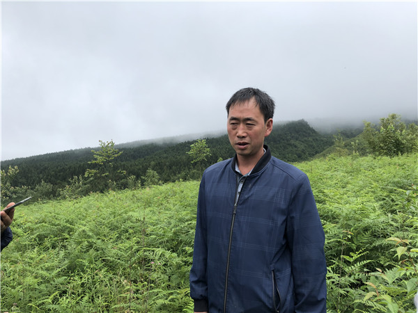 楊盛寶接受采訪