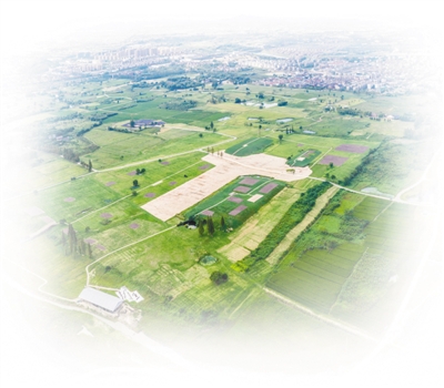 1562547664901396.jpg 1.jpg