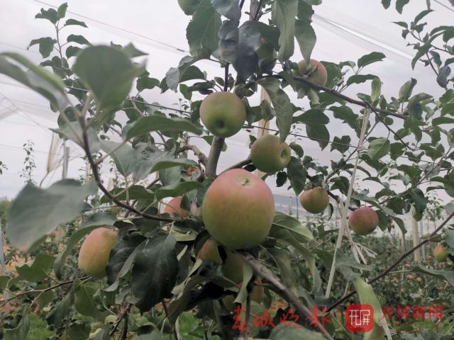 20190705094914GJ5UNCm 20190705094914GJ5UNCm