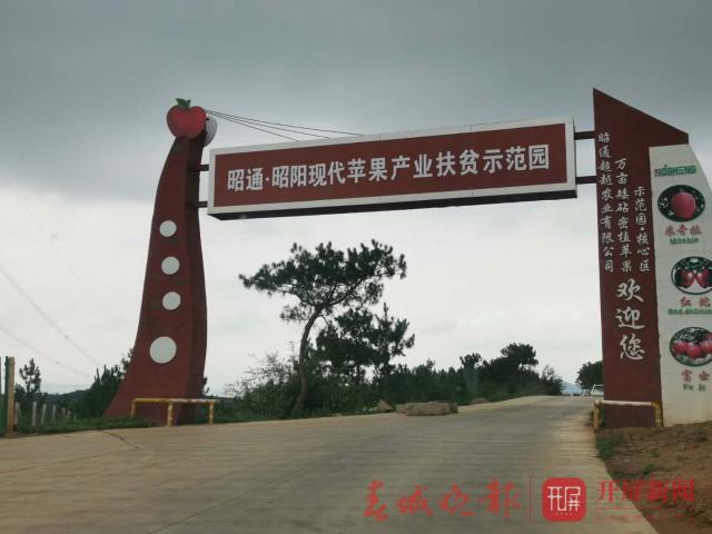 20190705094914PUVJBXm 20190705094914PUVJBXm