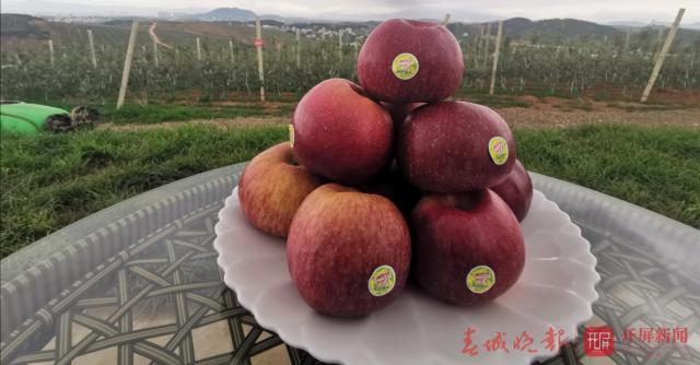 20190705094915NPD7VJm 20190705094915NPD7VJm