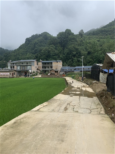 1562314930388805 1562314930388805