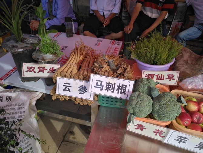 竹山種植的中草藥。