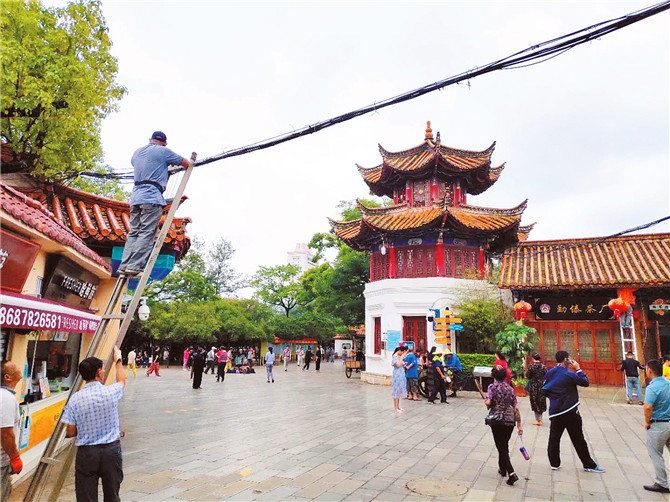 翠湖公園“蜘蛛網(wǎng)”整治