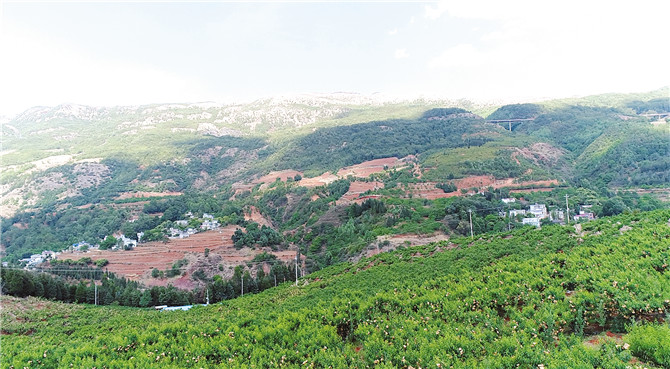 08200704 (2) 08200704 (2)