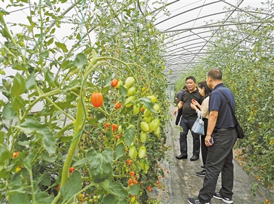 00300750668_0de23123 00300750668_0de23123