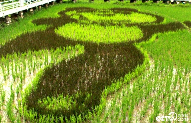 盡銳出戰(zhàn) 迎難而上 陜南脫貧攻堅(jiān)的18個(gè)瞬間 盡銳出戰(zhàn) 迎難而上 陜南脫貧攻堅(jiān)的18個(gè)瞬間