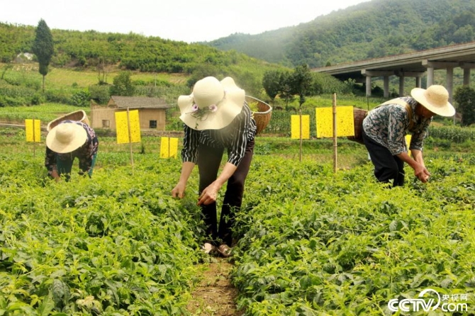 盡銳出戰(zhàn) 迎難而上 陜南脫貧攻堅(jiān)的18個(gè)瞬間 盡銳出戰(zhàn) 迎難而上 陜南脫貧攻堅(jiān)的18個(gè)瞬間