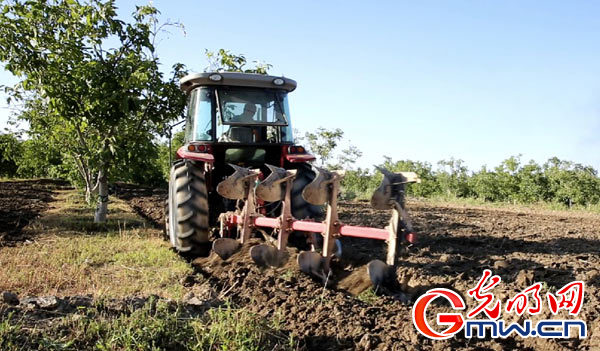 【邊疆黨旗紅】“麥蓋提好人”黃英杰:實事求是 為老百姓利益著想 【邊疆黨旗紅】“麥蓋提好人”黃英杰:實事求是 為老百姓利益著想