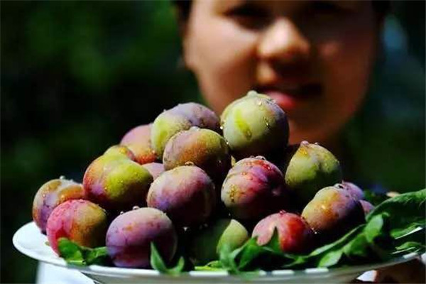 微信圖片_20190710151638