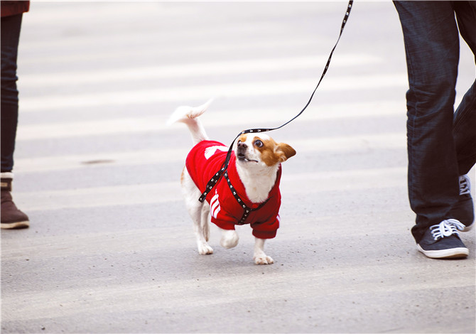 2012004067 2012004067