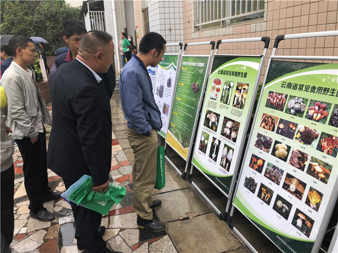 了解食用菌的相關(guān)知識(shí)