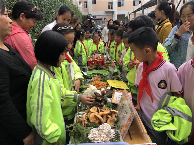 實(shí)物辨識(shí)食用野生菌